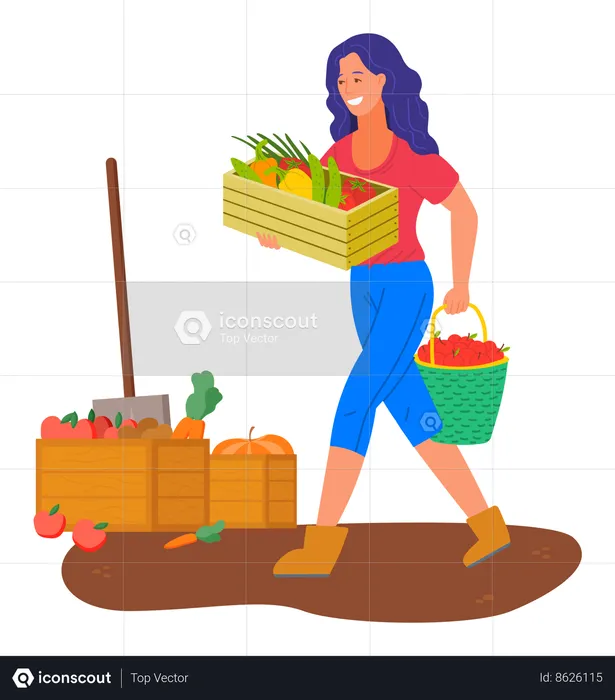 Woman harvesting at farm  Illustration