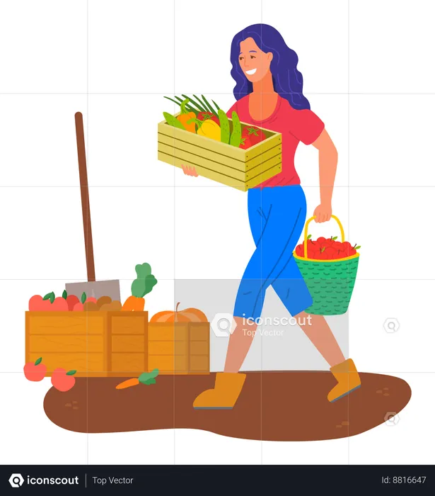 Woman have gathered fruit baskets  Illustration
