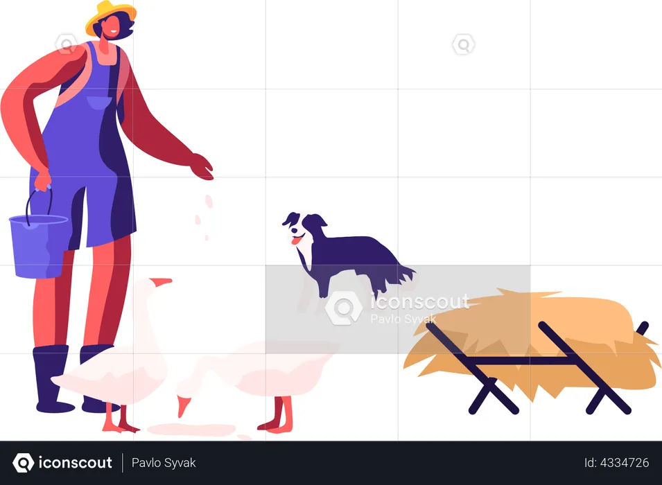 Woman in Working Robe Feeding Geese and Dog Stand nearby  Illustration