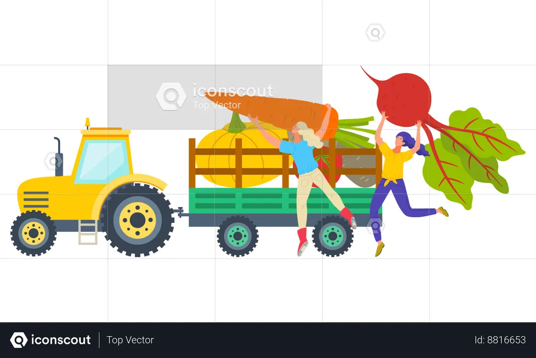 Woman is loading all vegetables in truck  Illustration