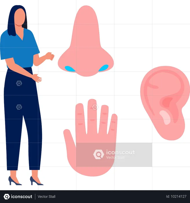 Woman looking human senses  Illustration