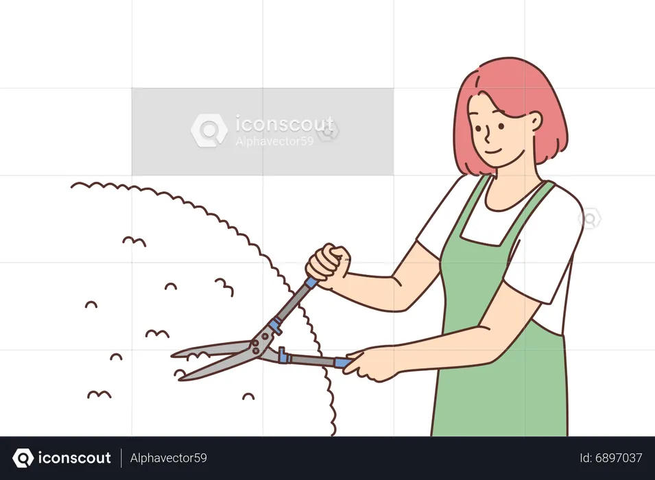 Woman maintaining garden  Illustration