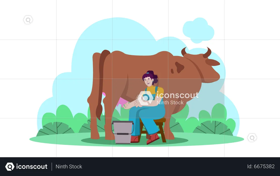 Woman Milking Cow  Illustration