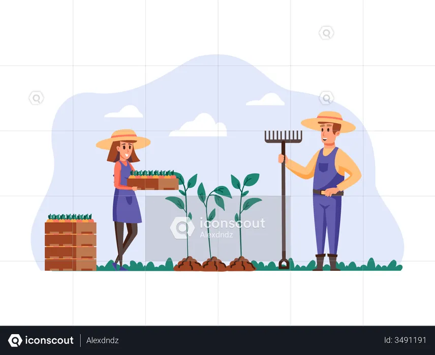 Woman planting crops with help of husband  Illustration