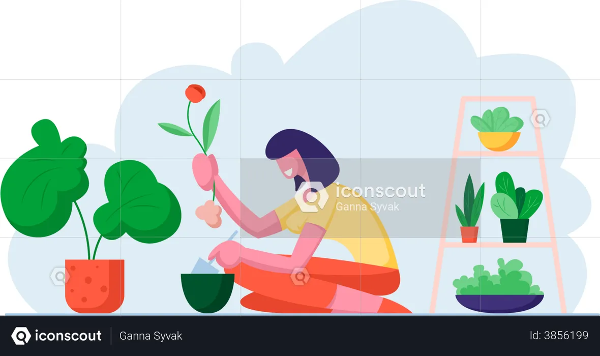 Woman planting flower in flower vase  Illustration