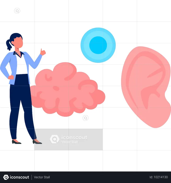 Woman pointing human brain  Illustration