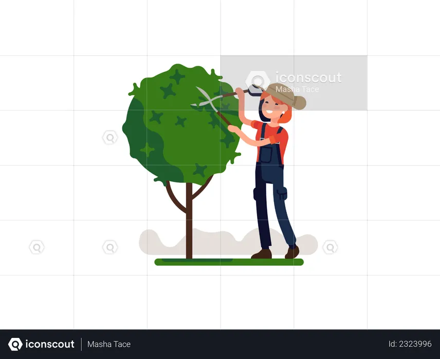 Woman pruning Small tree  Illustration