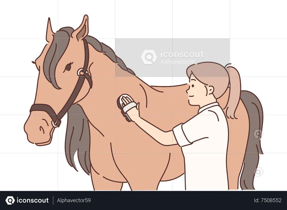 Woman scrapping brush on horse skin  Illustration