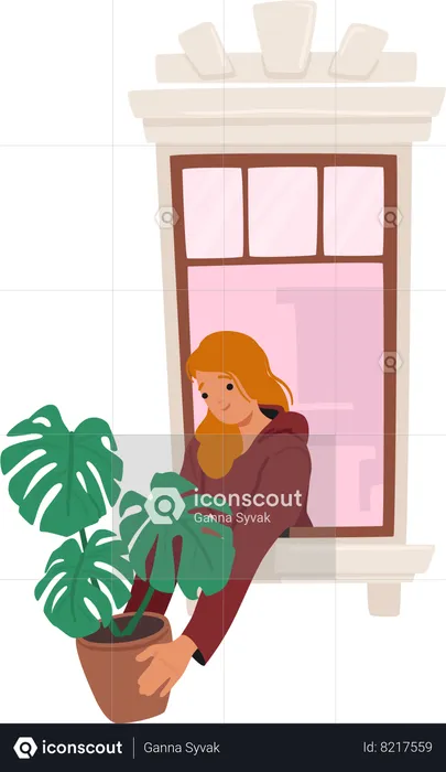 Woman stands by the window with a lush houseplant in her hands  Illustration