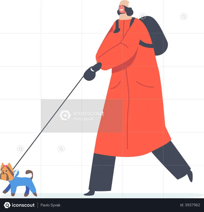 Woman Walking with Playful Dog at Cold Weather  Illustration