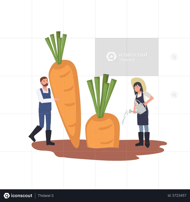 Woman watering big carrot  Illustration