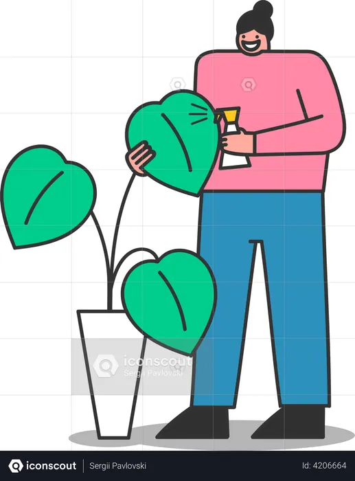 Woman watering houseplant with spray bottle  Illustration