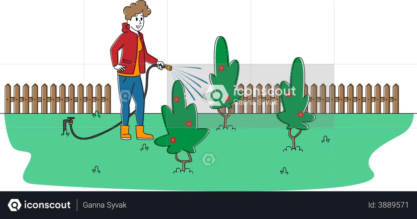 Woman Watering Plants  Illustration