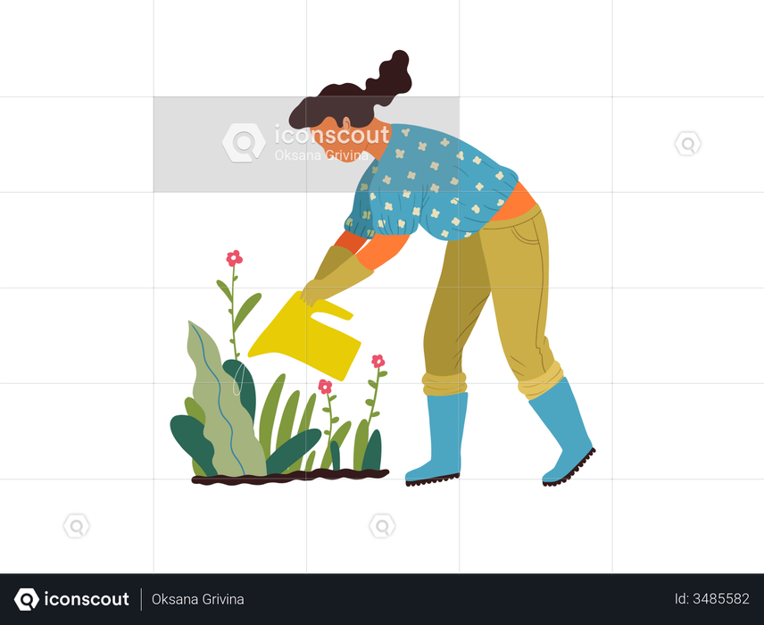 Woman watering to plant Illustration