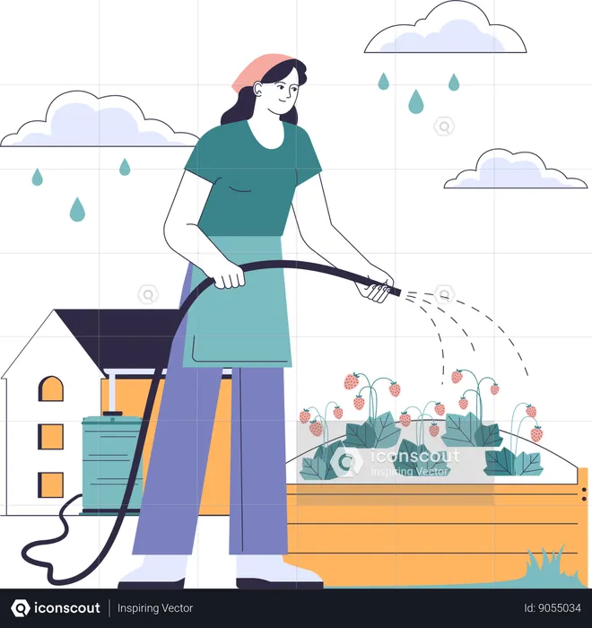 Woman waters rainwater to plants  Illustration