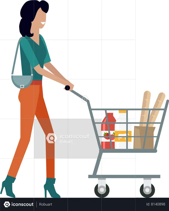 Woman with shopping cart  Illustration