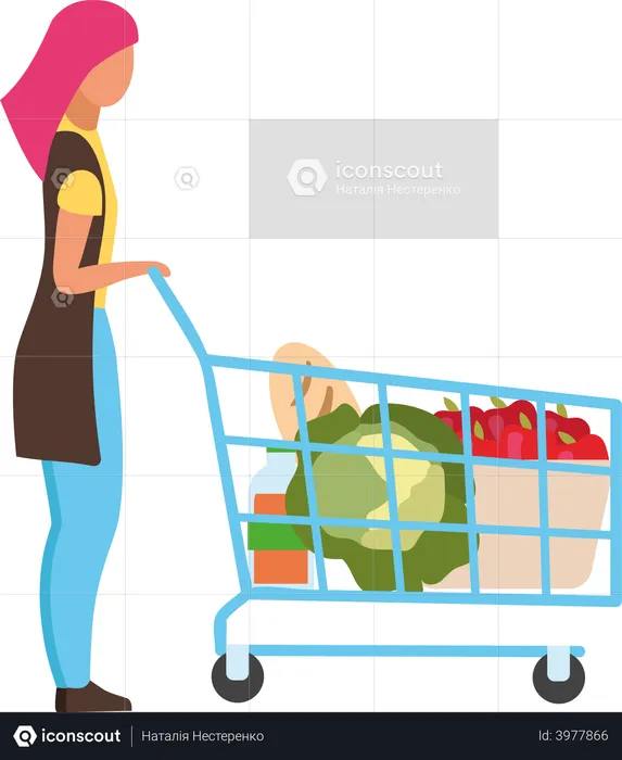 Woman with shopping cart shopping for groceries  Illustration