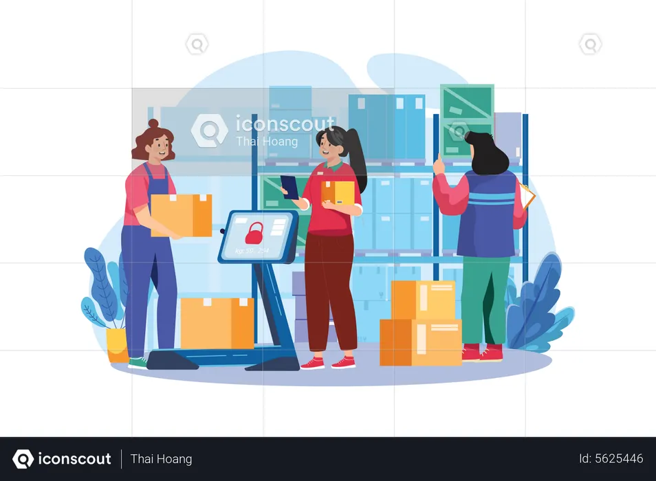 Woman Workers Manage Warehouse  Illustration