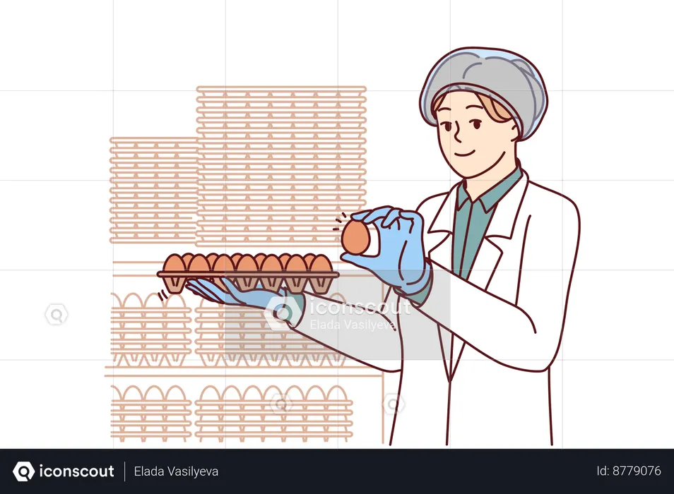 Worker checks the quality of eggs  Illustration