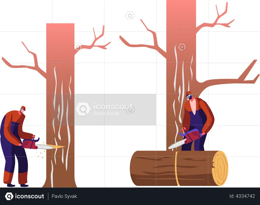 Worker Cutting Tree and Collecting Logs  Illustration