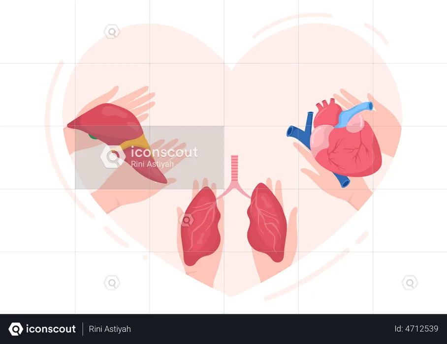 World Organ Donation Day  Illustration