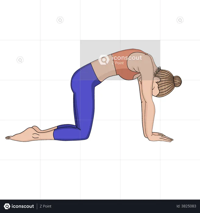 Yoga by fitness trainer  Illustration