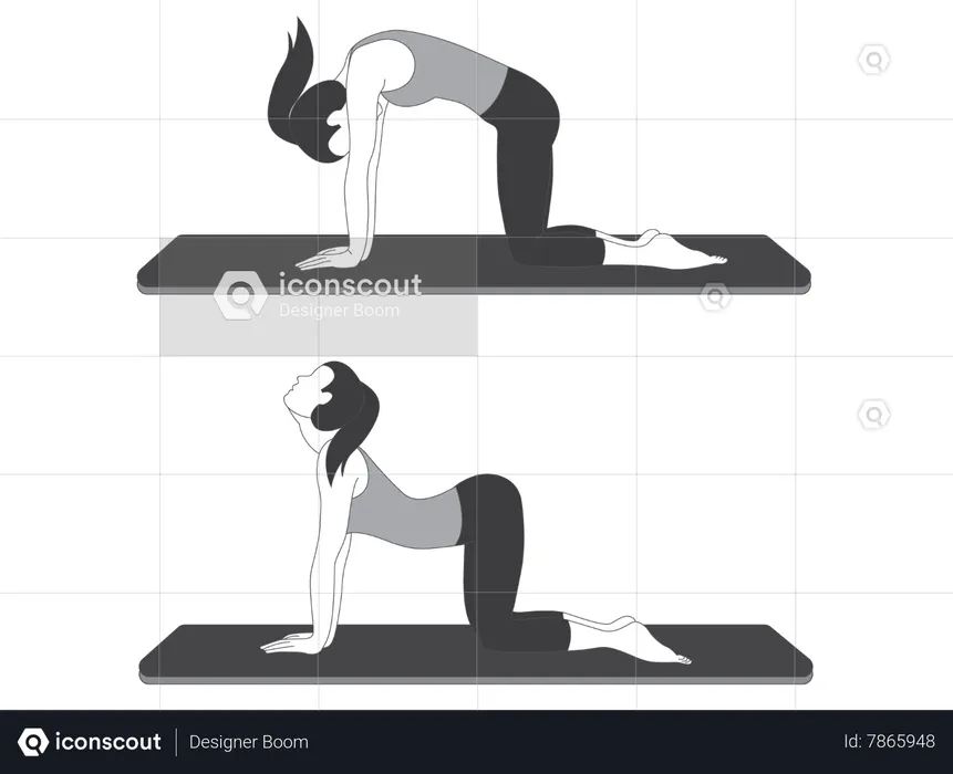 Yoga Girl doing Marjaryasana-Bitilasana  Illustration