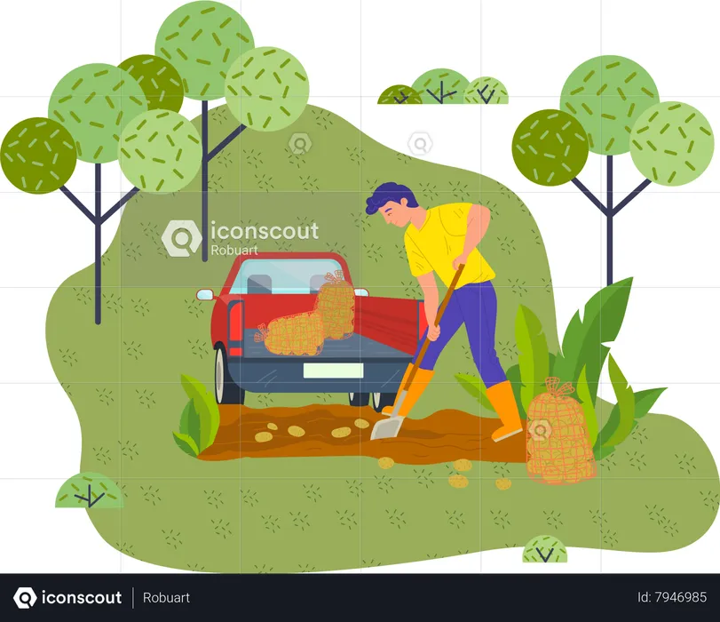 Young farmer digs potatoes in the garden  Illustration