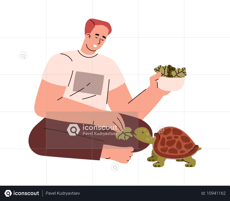 Young man feeding turtle with salad leaves  Illustration