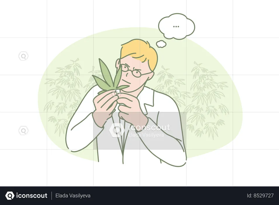 Young scientist researching marihuana chemical properties  Illustration