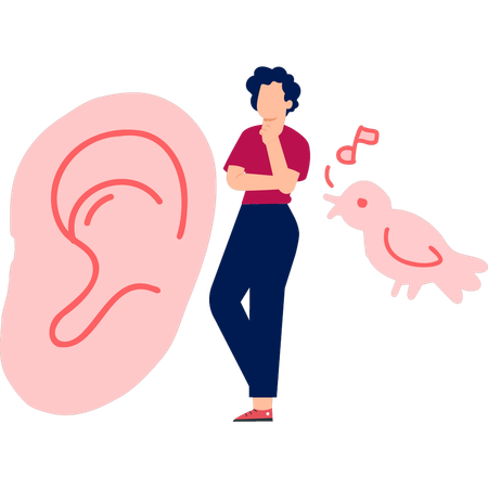 少年は人間の耳の音の伝わり方について考えている  イラスト