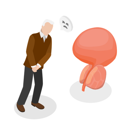 男性生殖器系の問題  イラスト
