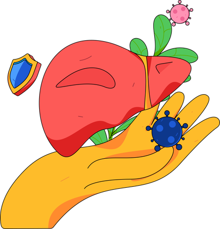 肝疾患  イラスト