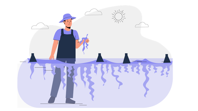 海藻を見せる男性  イラスト