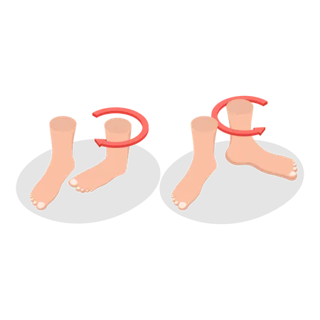 Isometrische 3D-Flachdarstellung der Muskelbewegung. Punkt 3  Illustration