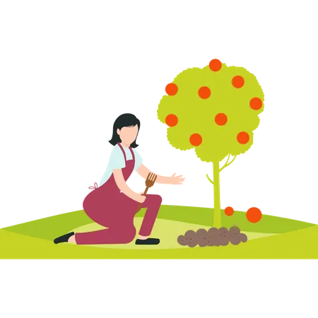 A girl digging a plant in a garden or a farm near a fruit tree  Illustration