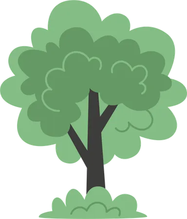 A Green Tree In Flat Style Illustration