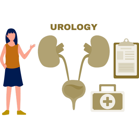 A menina está apontando para o sistema de urologia humana  Ilustração