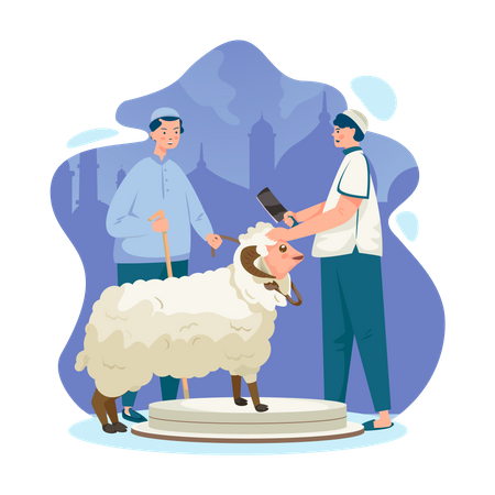 A Muslim wants to sacrifice a sheep  Illustration