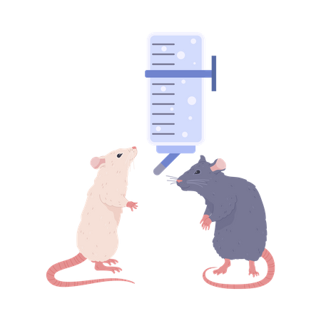 Abreuvoir Rats pour rongeurs  Illustration