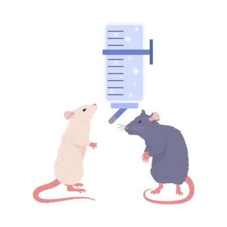 Abreuvoir Rats pour rongeurs  Illustration