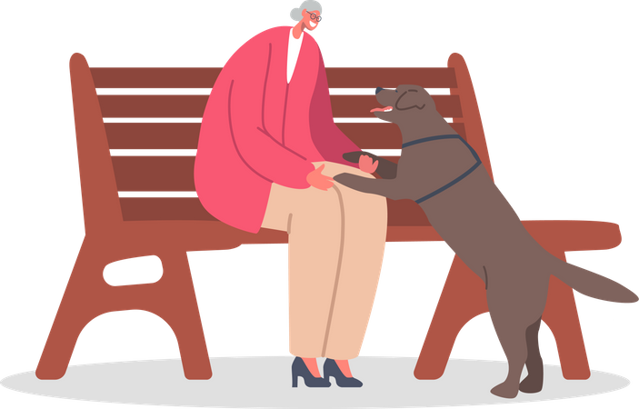 Abuela jugando con perro mascota en el parque  Ilustración