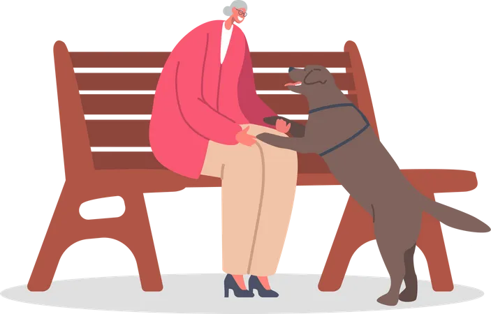 Abuela jugando con perro mascota en el parque  Ilustración