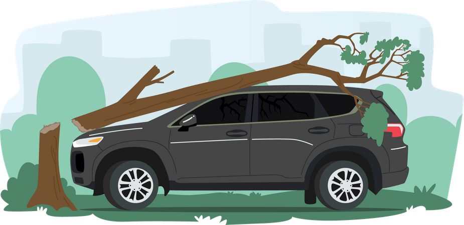 Accident de voiture avec un arbre  Illustration