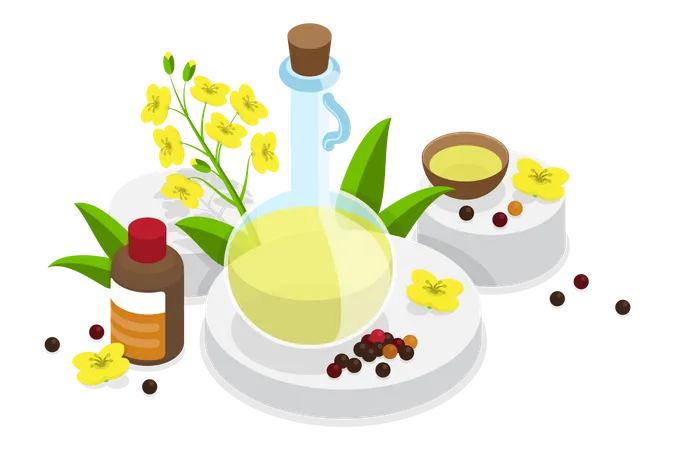 Aceite de Canola, Nutrición Natural y Saludable  Ilustración