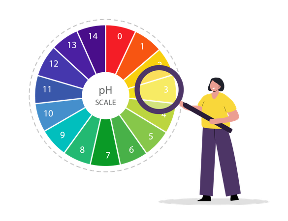 Acid and alkaline indicator  Illustration