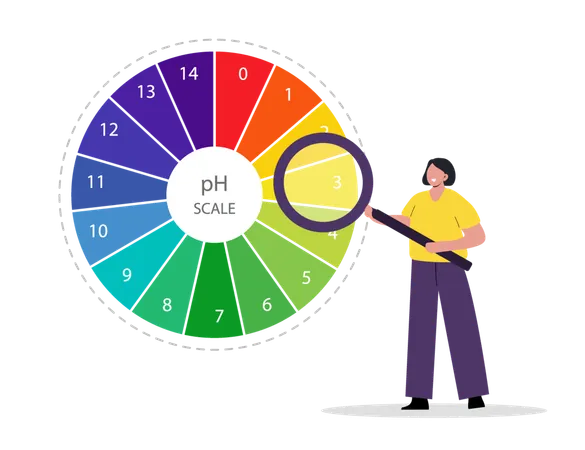 Acid and alkaline indicator  Illustration