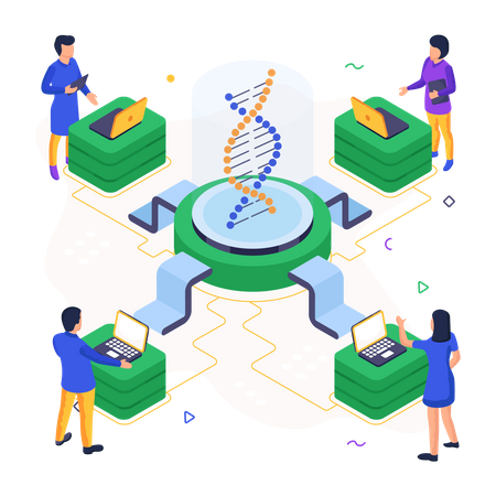 Acide désoxyribonucléique  Illustration