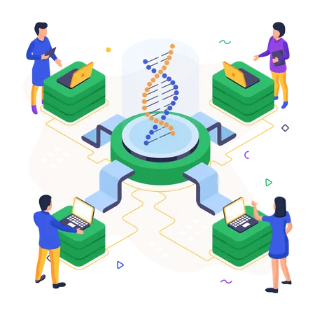 Acide désoxyribonucléique  Illustration