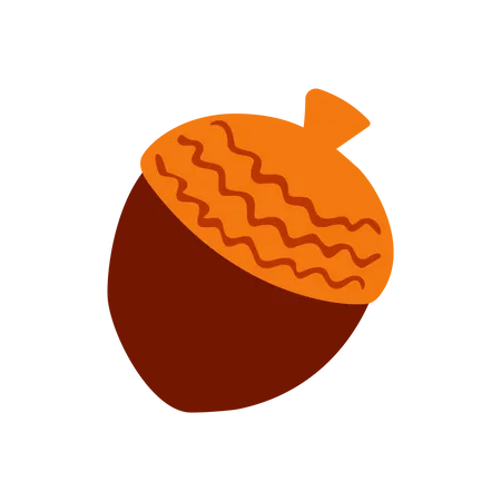 Acorn  Illustration